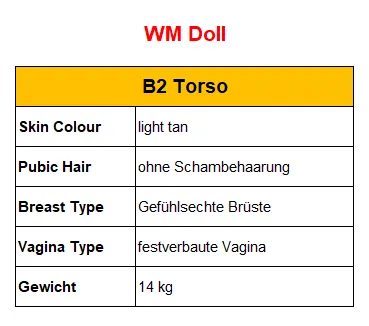 WM Doll B2 Torso - Kopf: #162 - Ausstellungsstück!